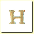 Wachsbuchstabe - H - Gold 8 mm 10 Stck