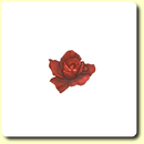 Wachsmotiv Rose altrot 35 x 50 mm
