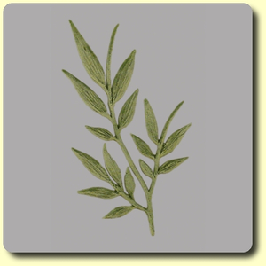 Wachsmotiv Bambusblatt grün 97 x 63 mm