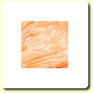 Struktur Wachsplatte apricot crash-optik 185 x 135 mm 5 Stück