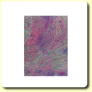 Struktur Wachsplatte lila - rosa 200 x 100 mm 1 Stück